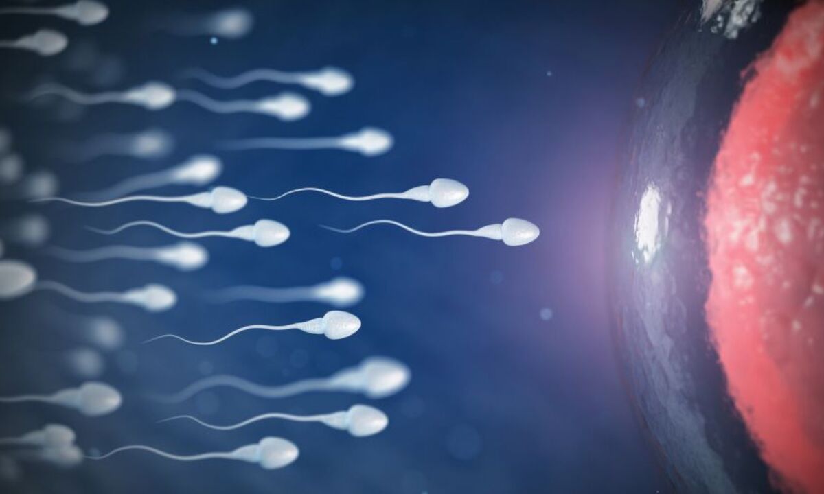 Padutin Sperm Arttırıcı ve Güçlendirici Hap